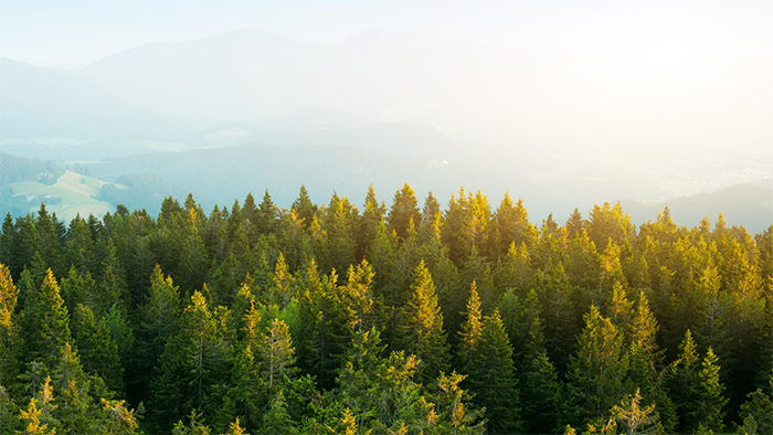 尊龙凯时 - 人生就得搏!(中国)官网