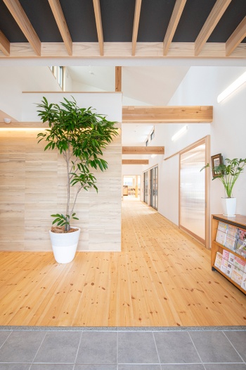 尊龙凯时 - 人生就得搏!(中国)官网