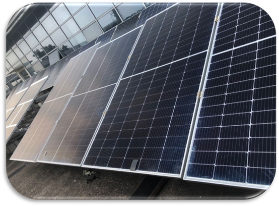 尊龙凯时 - 人生就得搏!(中国)官网