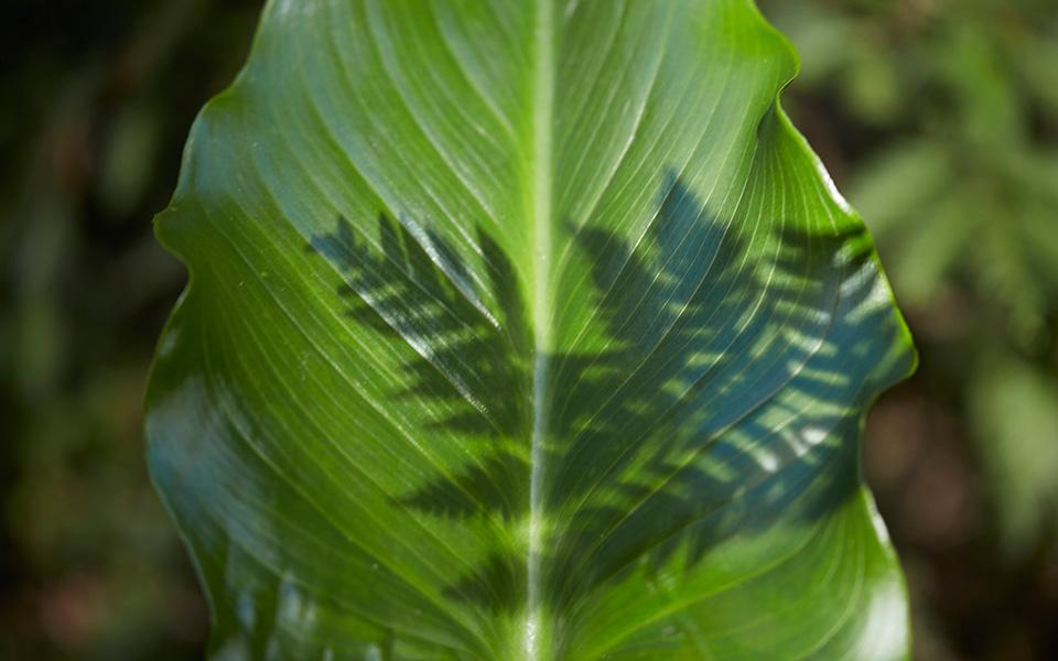 尊龙凯时 - 人生就得搏!(中国)官网